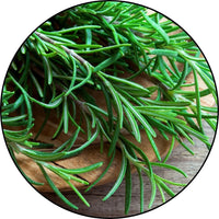 Rosemary