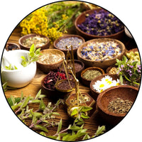 +11 More Powerful Herbs